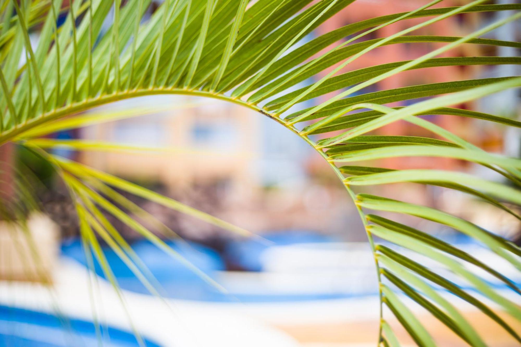 Apartamento Turistico Verdemar 2 La Manga del Mar Menor Exterior foto